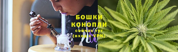 амф Белокуриха