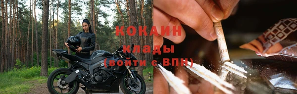 амф Белокуриха